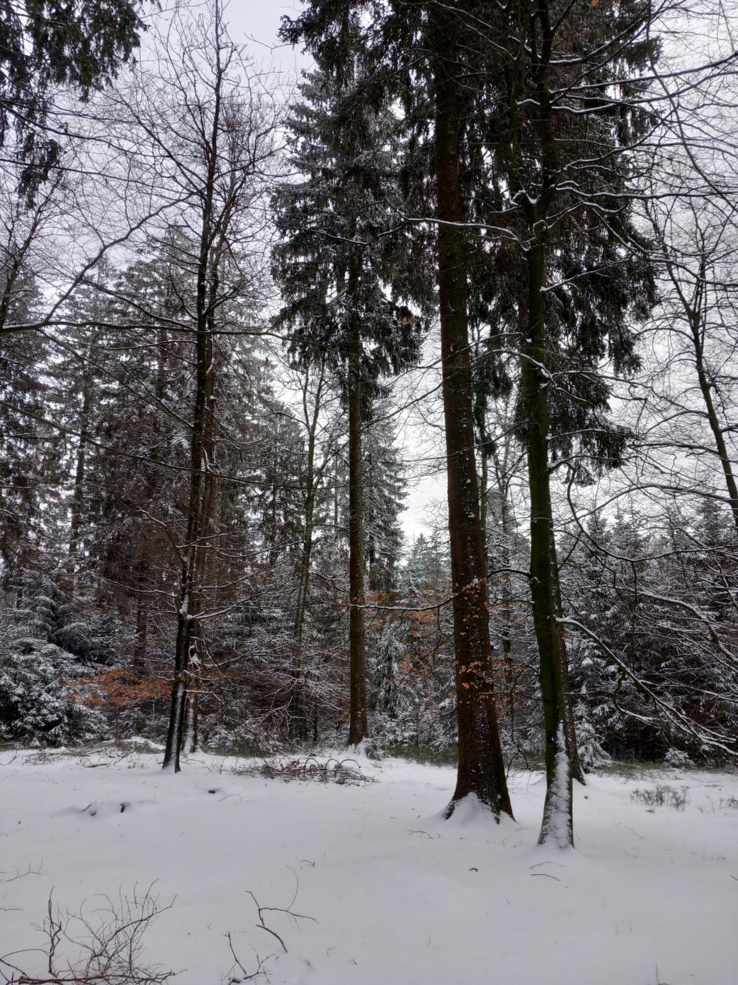 Vila Le Verger D' Adele Vielsalm Exteriér fotografie